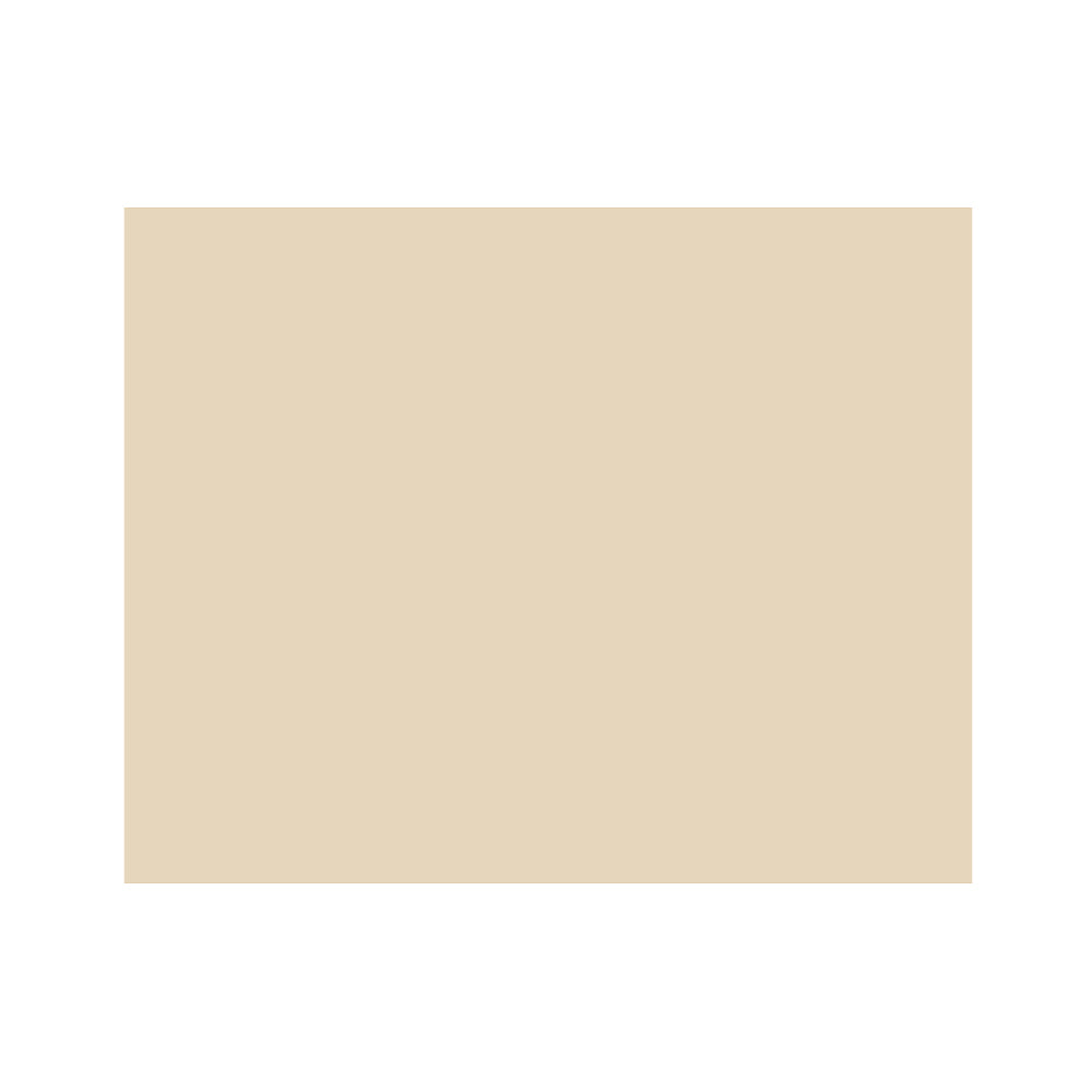 Silagen 5" by 6" sheet in shade beige