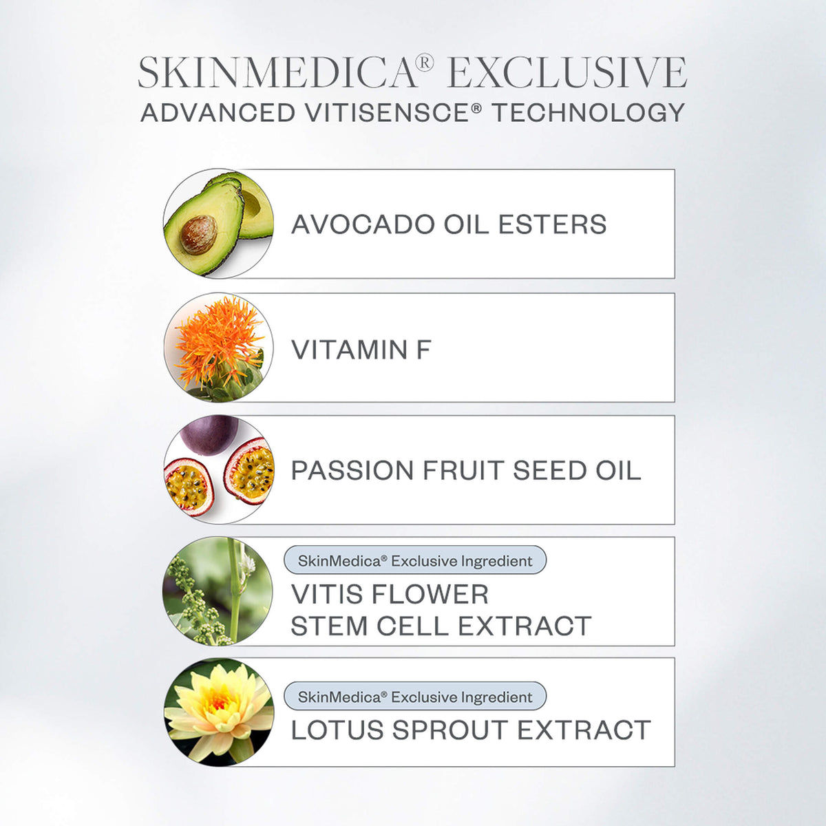 List of SkinMedica exclusive ingredients with corresponding images and names on a light gray background.