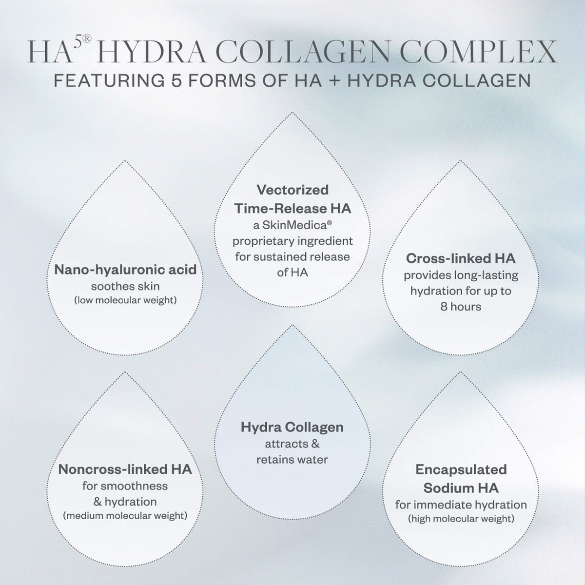 Diagram of HA5 Hydra Collagen Complex with five forms of HA and Hydra Collagen on a light blue background.